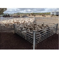 Clôture pour animaux de ferme, usine en gros, ferme permanente/temporaire, cour pour bétail, panneaux de grange pour mouton, chèvre et cochon