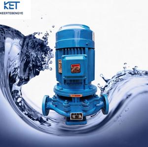 Bombas de Agua Centrífugas Horizontales de Hierro Fundido de Bajo Consumo, Adecuadas para Suministro de Agua Residencial y Riego Agrícola - Product Image 4