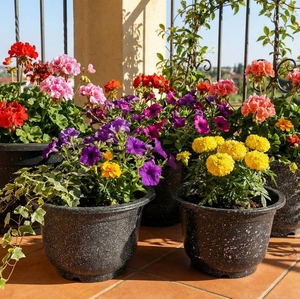 Pots de fleurs en plastique sur mesure, effet pierre, durables, pour pépinière, jardin, intérieur, extérieur, fournisseur en gros - Product Image 1