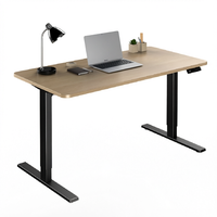 Bureau électrique réglable pour la maison et le bureau, double moteur, assis-debout, avec structure en acier, design moderne