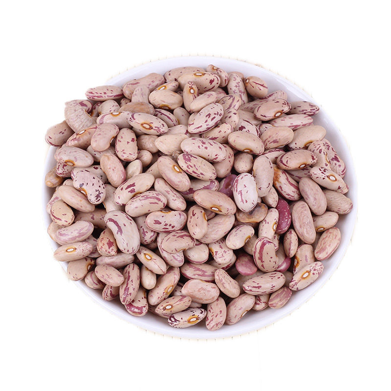 Как сушить фасоль. Фасоль сушеная. light speckled kidney beans. light speckled kidney.