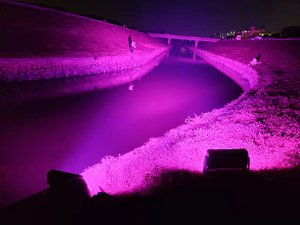 Étanche IP65 60 leds x10w rgbw 4in1 lumière de couleur de la ville - Product Image 6
