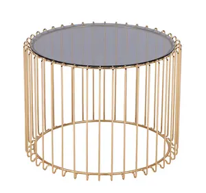 Quadro moderno do metal do fio do ferro moderado vidro superior chapeado preto mesa de café do ouro estilo simples