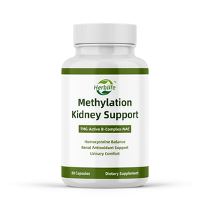 Cápsulas de Apoyo Renal Metiladas, Complejo Herbal, Suplemento para la Salud Renal, Limpieza y Desintoxicación, Marca Privada Disponible - Product Image 1