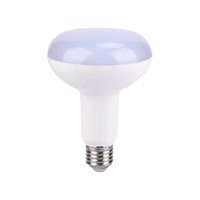 Ningbo Everstar LED R Lampe R80 R63 R50 R39 7W E17 E14 Ampoule LED