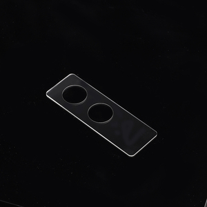 Puce microfluidique en verre pour la surveillance biologique et les environnements chimiques difficiles - Product Image 1