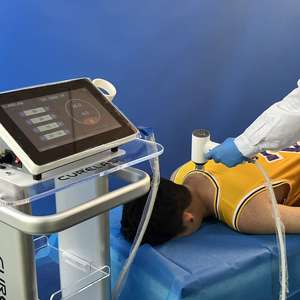 Thérapie <span class=keywords><strong>laser</strong></span> de classe 4 pour vétérinaire chien chat vétérinaire Animal cheval thérapie <span class=keywords><strong>laser</strong></span> vétérinaire pour le soulagement de la douleur - Product Image 2