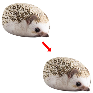 OEM ODM Cartoon <span class=keywords><strong>Fun</strong></span> Plush <span class=keywords><strong>Pillow</strong></span> Simulation Hedgehog Throw <span class=keywords><strong>Pillow</strong></span> Personalização Qualquer Forma Plush Throw <span class=keywords><strong>Pillow</strong></span>