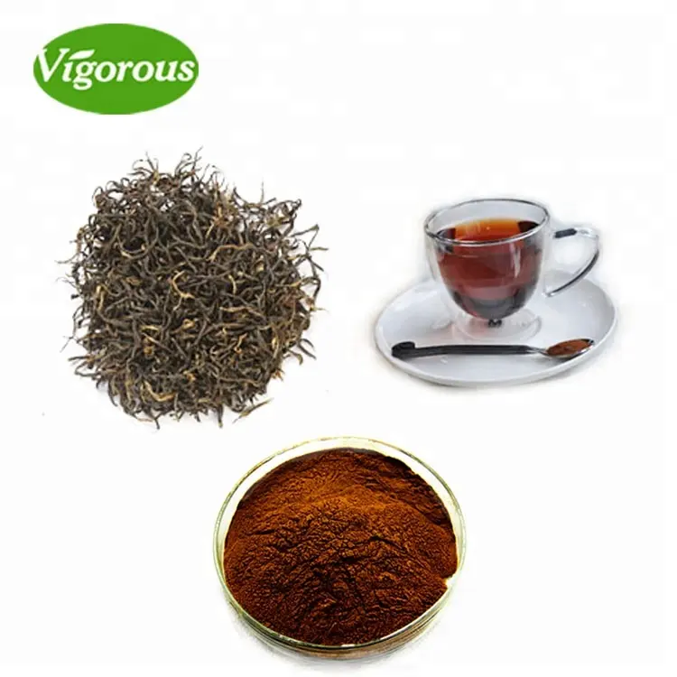 عينة مجانية من الشاي الأسود العضوي theaflavin الكاميليا سينينسيس مستخلص الشاي الأسود