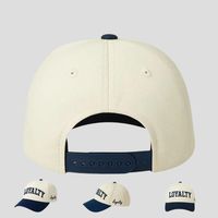 Casquette de Baseball Réglable en Coton, 5 Panneaux, Bords Courbés, Haute Qualité, Personnalisée, pour Hommes et Femmes, Sports de Plein Air, par Fabricants