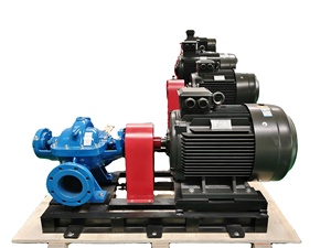 Pompe centrifuge horizontale à double aspiration monophasée, utilisée pour l'alimentation en eau et le drainage, conception hydraulique QS avancée - Product Image 1