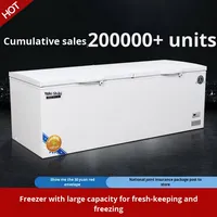 Réfrigérateur commercial à température unique Congélateur horizontal de grande capacité Fresh-Keeper avec processus de congélation à haute efficacité