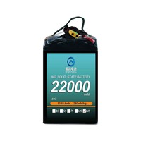 Livraison express inspection du circuit de photographie aérienne 10C 22000mAh 14S 51.8V batterie drone
