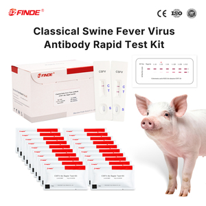 Rapid Test Kit for Classical Swine Fever Virus <strong>Antibody</strong> <strong>Detection</strong> Veterinary Instrument for Pig CSFV Ab - Product Image 1