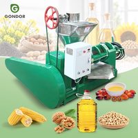 Presse à huile agricole pour graines de coton, presse à arachides, mini extracteur de palme à vis, 0,5 t/h, pour usage commercial