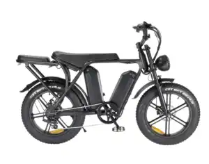 Double batteries electric fat tire bike 1000w China manufacturer 20*4.0 inch 48v 30ah removable battery electric bicycle fatbike