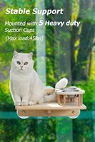 Ventouses transparentes extra fortes en bois de bambou lit hamac pour chat perchoir de fenêtre pour chat