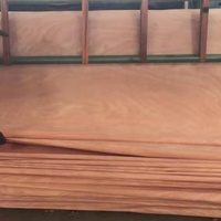 Placage de bois d'Okoumé du Gabon de Jinshan Wood