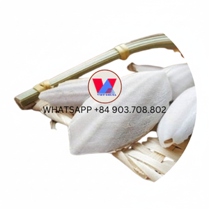 <b>CHEAP</b> PRICE CUTTLEFISH BONE FROM VIETNAM READY to EXPORT - Product Image 1