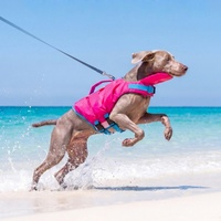 Maillot de bain pour animaux de compagnie personnalisé, luxe, simple, été, écologique, durable, flottabilité élevée, couleur unie contrastée, pour chiens grands/petits, XL