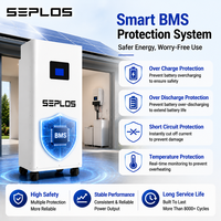 Batterie LiFePO4 Seplos Mason 51.2V 314Ah 16kWh pour stockage d'énergie domestique, stock UE, entrepôt Allemagne Pologne, livraison rapide, BMS 200A