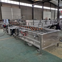 Blaasreinigingsmachine voor blauwe bessen en aardbeien, groente- en fruitdroog- en reinigingsmachine