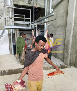 Máquina de línea de sacrificio de ganado <span class=keywords><strong>ritual</strong></span> con equipos de matadero Halal Maquinaria de carnicería - Product Image 4