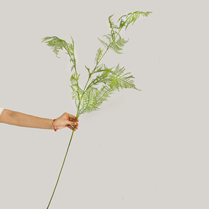 Feuillage artificiel en plastique souple au toucher réel, type fougère et <span class=keywords><strong>asperge</strong></span>, pour la décoration florale d'hôtels et de mariages - Product Image 4