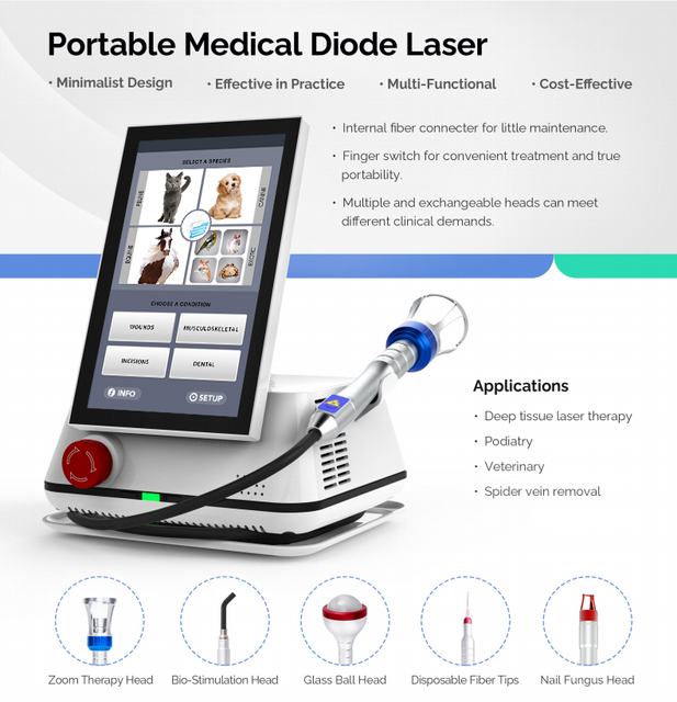 Qolight Angela Veterinary Class 4 Diode Laser Therapy Machine 650nm/810nm/980nm CE Certified 2-Year Warranty Deep Tissue Pain