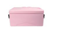 40 QT Modern Rotomolded Portable Outdoor Hard Ice Cream Glacière Logo personnalisable Solution de stockage de boîtes de conserve à la mode