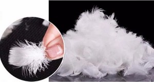 Relleno <span class=keywords><strong>de</strong></span> plumas <span class=keywords><strong>de</strong></span> pato blanco <span class=keywords><strong>de</strong></span> alta calidad, plumón blanco lavado para chaqueta Nórdica - Product Image 6