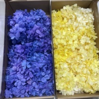 100g de pétales d'hortensia séchés longue durée, naturels, préservés, en bois, pour Noël et le Nouvel An chinois