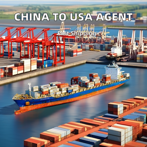 유럽 해상 운송 특급 세금 포함 45-50일 - Product Image 3