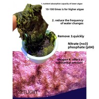 Nouvelle lampe LED Jiuguang E2 moderne et écologique en plastique rectangulaire 220V WiFi 5W pour aquarium d'eau de mer et corail, anti-algues, garantie 1 an