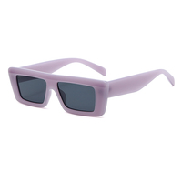Lunettes de soleil rectangulaires rétro en PC, monture et verres en PC, vente en gros, stock disponible, lunettes colorées, prix d'usine