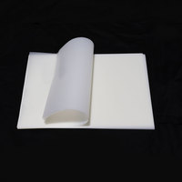 Vente en gros de 100 feuilles de papier de film de transfert DTF à décoller à froid Feuilles de film de transfert DTF mat double face A3 A4