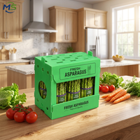 Caisse en polypropylène alvéolaire perforée et ventilée de 5 mm pour asperges, légumes à tige, sushis, chips de pommes de terre, transport agricole et recyclable