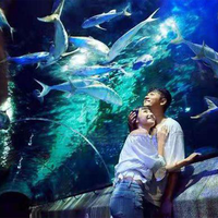 Vente directe du fabricant, bon prix, aquarium tunnel, aquarium en acrylique, tunnel pour aquarium, grand format