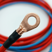 Rangkaian Kabel Baterai Penyimpanan Energi Khusus dengan Terminal Ring Lug ke Fork untuk Sistem EV, Solar, dan UPS