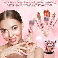 Ensemble de 14 pinceaux de maquillage rose pour débutants, pour le visage, portable, éponge, fond de teint, poudre, anticernes, fards à paupières