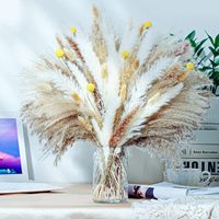 100PCS Rumput Pampas Kering Alami Buket Mengembang 175" Gaya Boho Dekorasi Rumah & Pesta Rangkaian Bunga Pernikahan