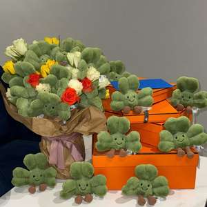 Jelly <span class=keywords><strong>Ca</strong></span> édition limitée 25th St Patrick's Day Lucky Clover Couette en peluche de 10cm avec techniques lavées en coton PP - Product Image 5