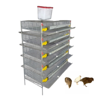 Cages de batterie professionnelles pour l'élevage de cailles en élevage intensif