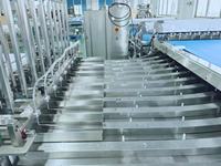 Machine d'emballage horizontale automatique pour biscuits et craquelins, avec remplissage et scellage
