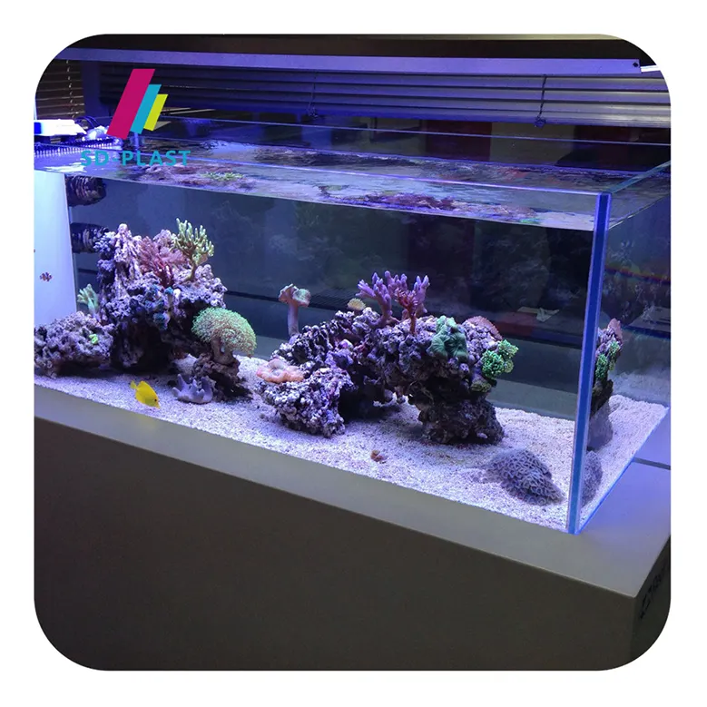 Vente en gros grand aquarium en acrylique personnalisé aquarium en verre aquarium en acrylique aquarium