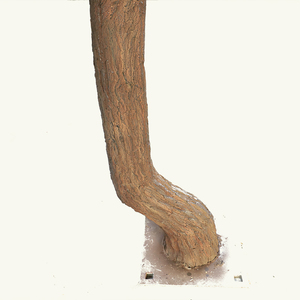 Pino Artificiale All'ingrosso, Pino Cinese per l'Accoglienza, per Decorazioni Domestiche, Pino d'Accoglienza, Alberi da Esterno, Albero Artificiale - Product Image 2