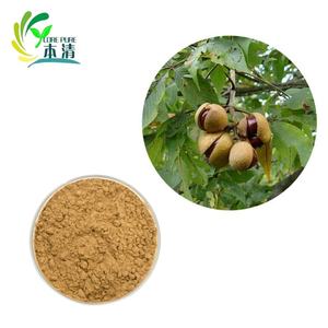 Extracto de <span class=keywords><strong>Castaño</strong></span> de Indias Natural de Primera Calidad, Venta Directa de Fábrica, Grado Alimenticio, 5%-20% de Aescina, en Envase de Tambor - Product Image 1