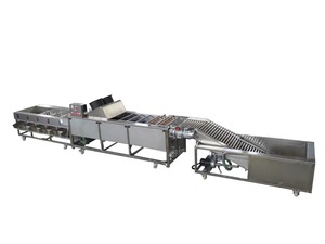 Máquina clasificadora de granos de café y frutas multifuncional y duradera en venta - Product Image 5