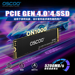 Kecepatan tinggi M.2 NVMe PCIe 4.0 kemasan massal 1TB/2TB SSD kualitas tinggi penyimpanan Internal untuk Desktop & Laptop membaca: 5200MB/dtk - Product Image 5