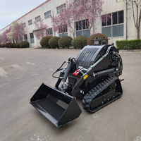 TC460 mini chargeuse skidsteer chinoise bon marché moteur diesel epa sur chenilles mini chargeuse compacte sur chenilles avec accessoires sur chenilles